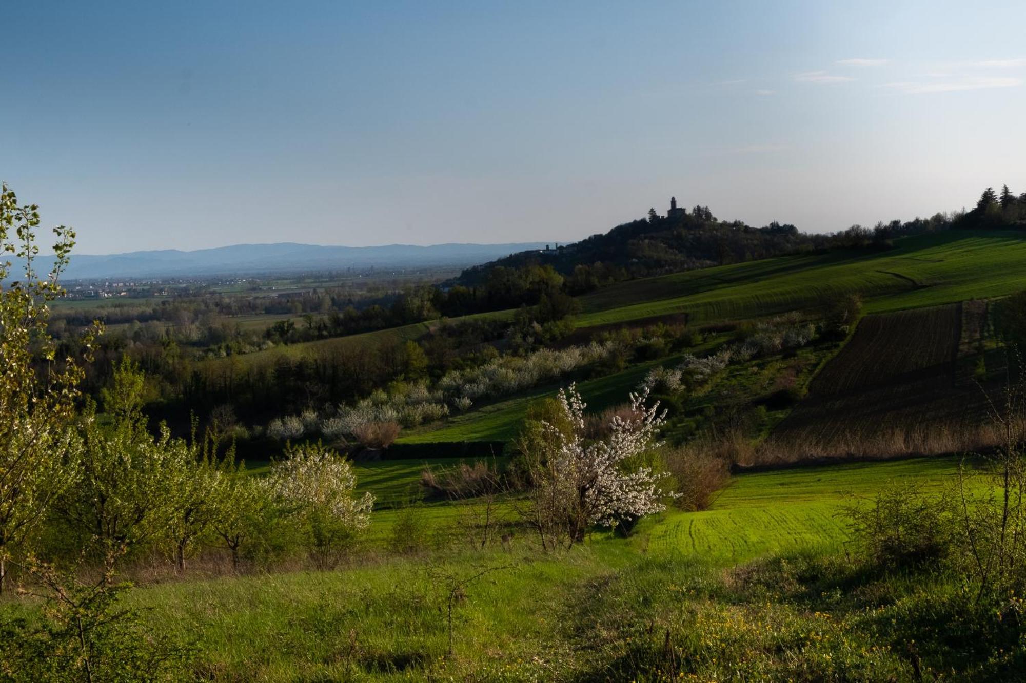 Monferrato Inn Rivarone Екстериор снимка