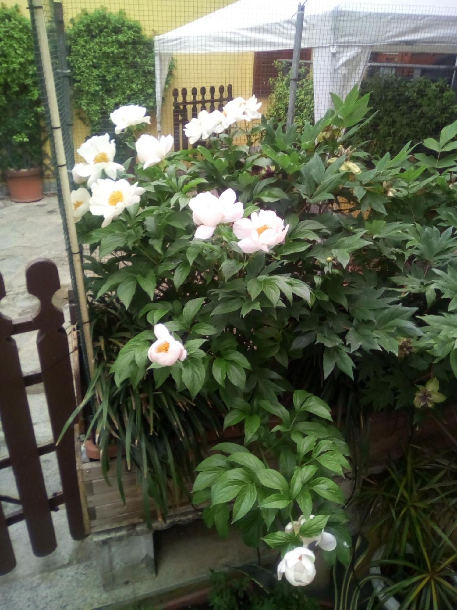 Monferrato Inn Rivarone Екстериор снимка